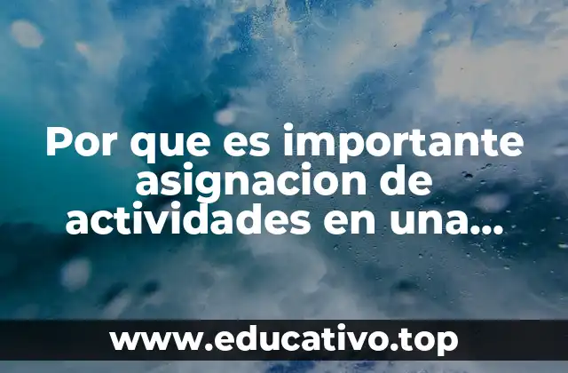 Por que es importante asignacion de actividades en una empresa