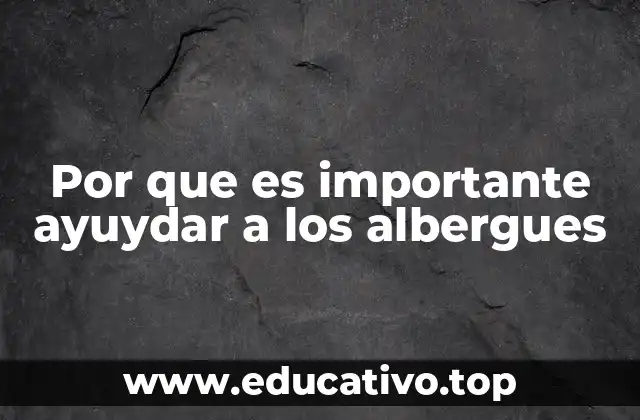 Por que es importante ayuydar a los albergues