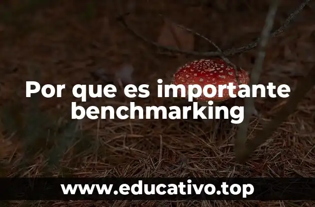Por que es importante benchmarking