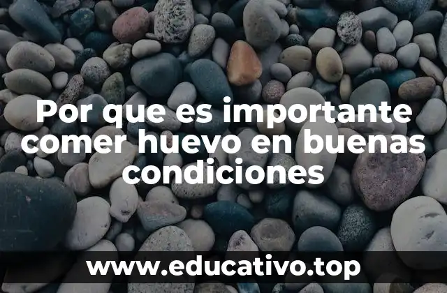 Por que es importante comer huevo en buenas condiciones