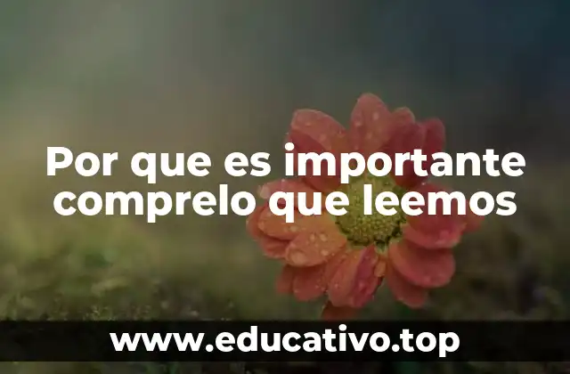 Por que es importante comprelo que leemos