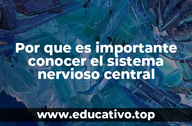 Por que es importante conocer el sistema nervioso central