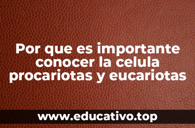 La base de la organización celular en la naturaleza