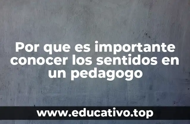 Por que es importante conocer los sentidos en un pedagogo