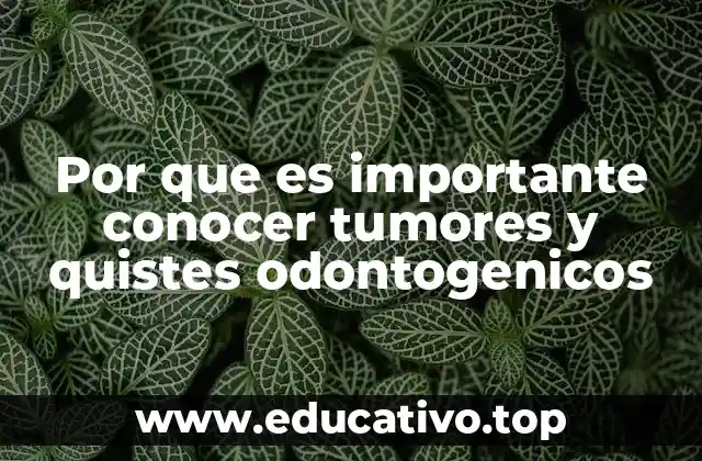 Por que es importante conocer tumores y quistes odontogenicos