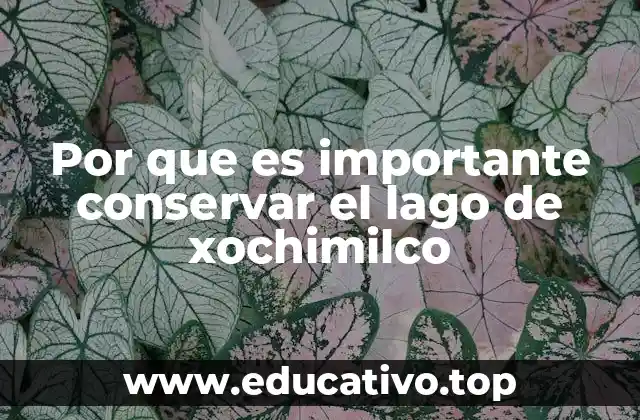 El impacto ecológico y social del lago Xochimilco