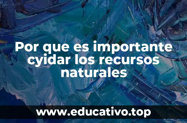 Por que es importante cyidar los recursos naturales