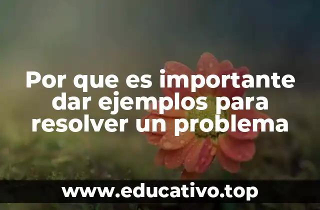 Por que es importante dar ejemplos para resolver un problema