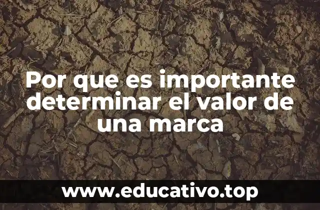 Por que es importante determinar el valor de una marca