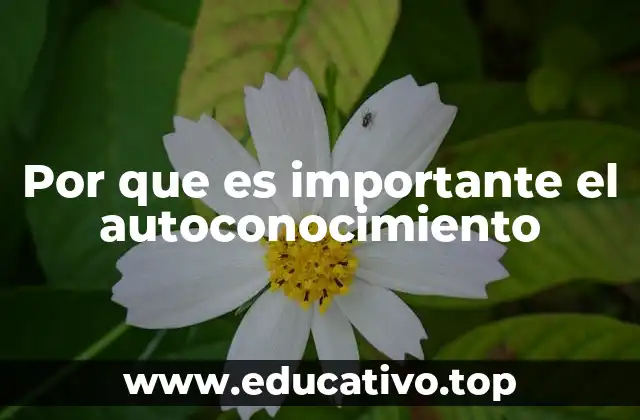 Por que es importante el autoconocimiento