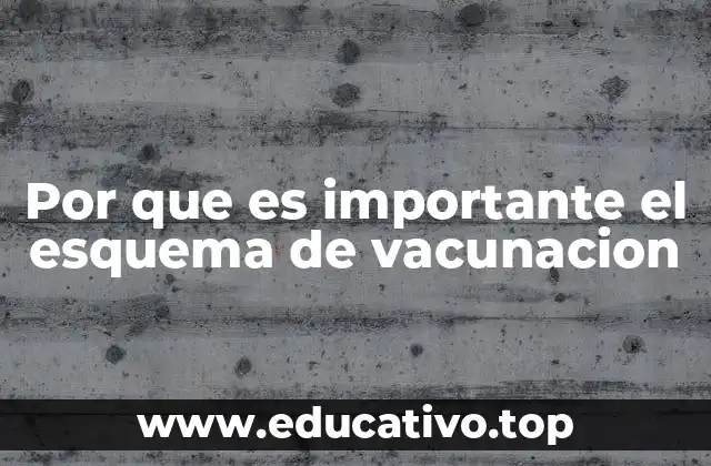 Por que es importante el esquema de vacunacion