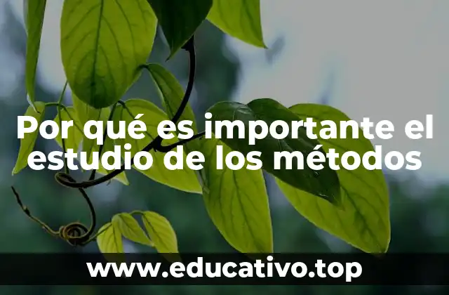 Por qué es importante el estudio de los métodos
