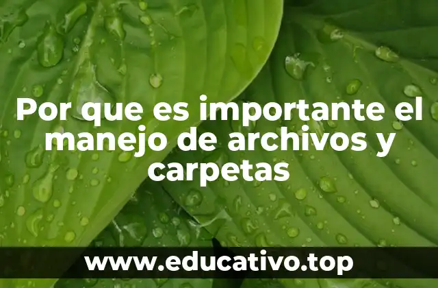 Por que es importante el manejo de archivos y carpetas