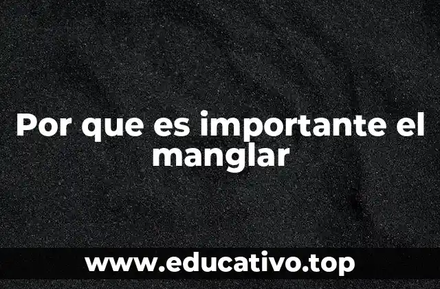 Por que es importante el manglar