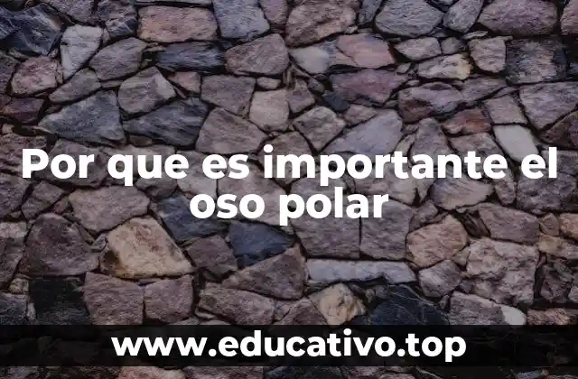 El oso polar y la salud del Ártico