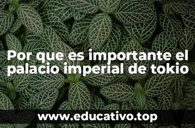 Por que es importante el palacio imperial de tokio