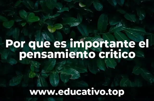 Por que es importante el pensamiento critico