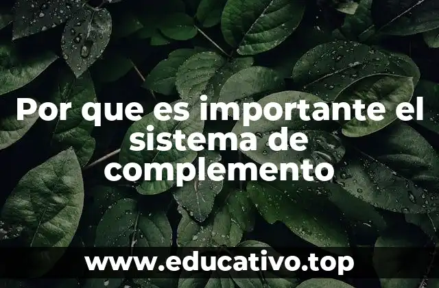 Por que es importante el sistema de complemento