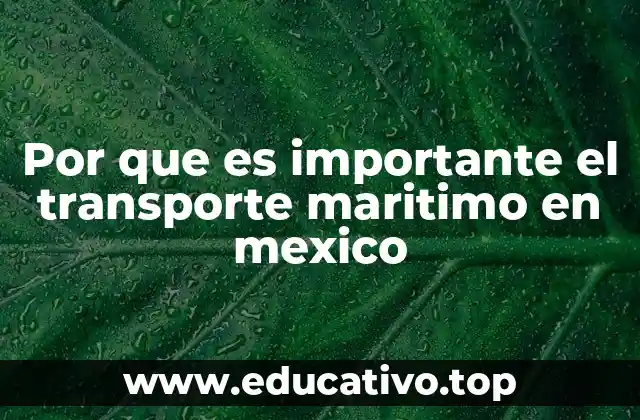 Por que es importante el transporte maritimo en mexico