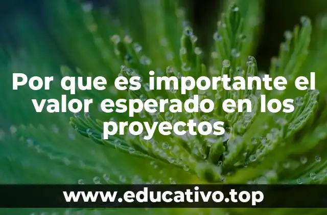 Por que es importante el valor esperado en los proyectos