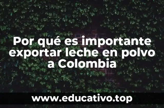 Por qué es importante exportar leche en polvo a Colombia