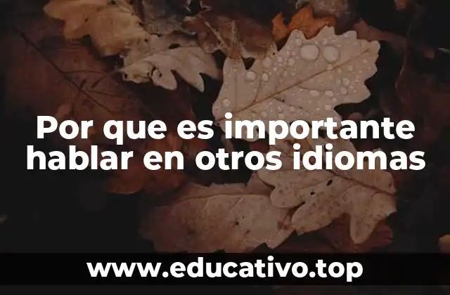 Por que es importante hablar en otros idiomas