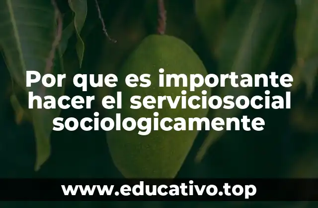 Por que es importante hacer el serviciosocial sociologicamente