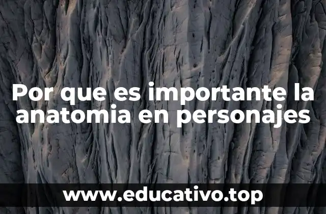 La base del diseño visual y expresivo