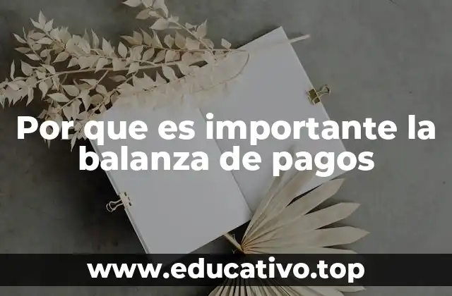 Por que es importante la balanza de pagos