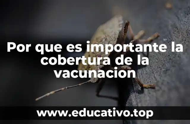 Por que es importante la cobertura de la vacunacion