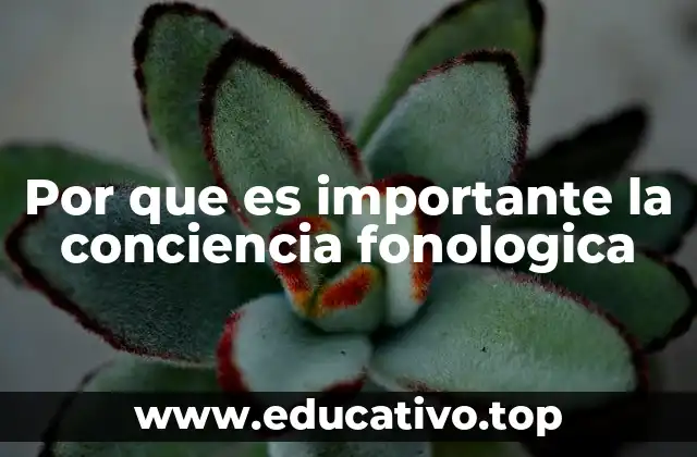 Por que es importante la conciencia fonologica