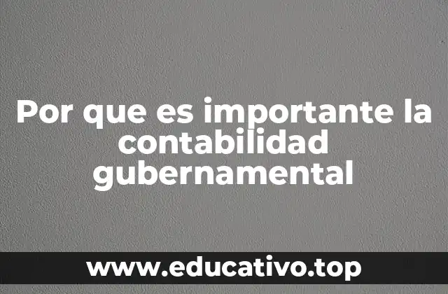 Por que es importante la contabilidad gubernamental