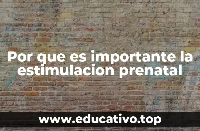 El impacto emocional de la estimulación prenatal en el bebé