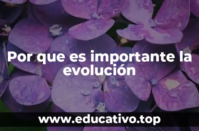 Por que es importante la evolución