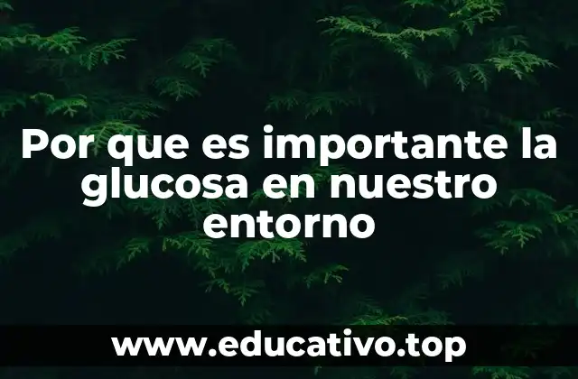 El papel de la glucosa en los procesos vitales