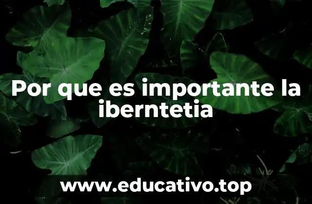 Por que es importante la iberntetia