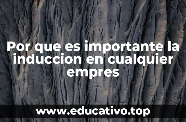 Por que es importante la induccion en cualquier empres