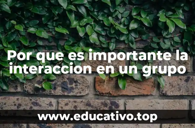 Por que es importante la interaccion en un grupo