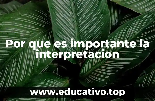 Por que es importante la interpretacion