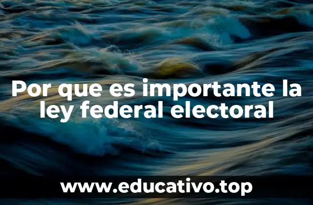 Por que es importante la ley federal electoral