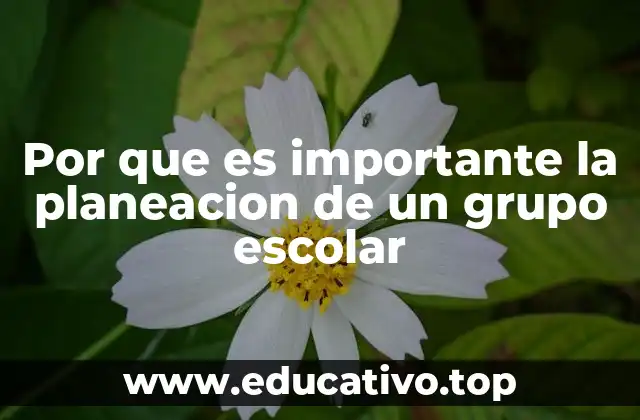 El impacto de una planificación escolar bien estructurada