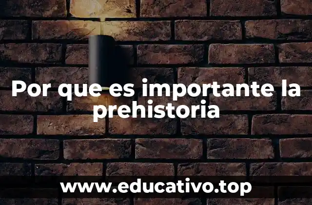 Por que es importante la prehistoria