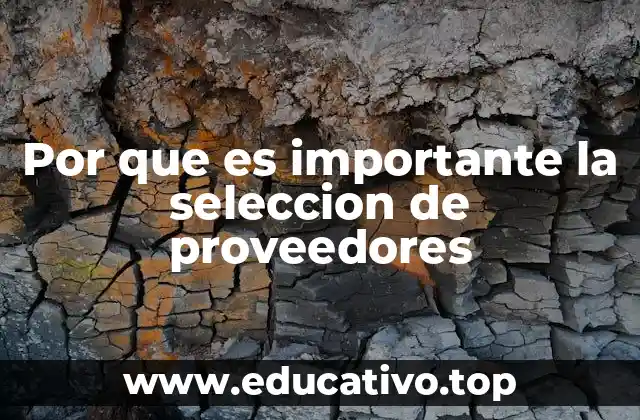 La importancia de una estrategia de proveedores sólida