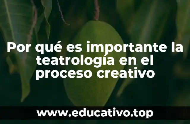 Por qué es importante la teatrología en el proceso creativo