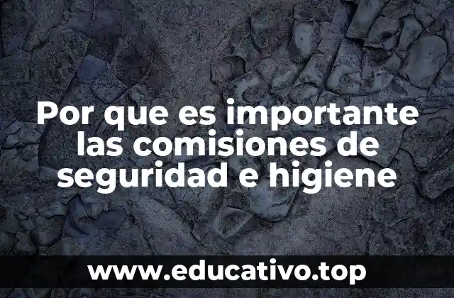 Por que es importante las comisiones de seguridad e higiene
