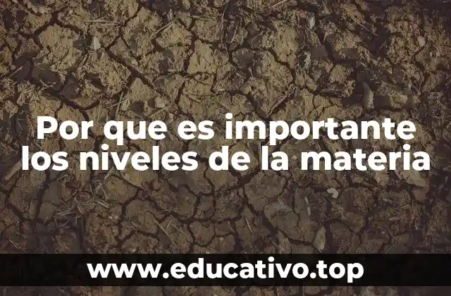 Por que es importante los niveles de la materia