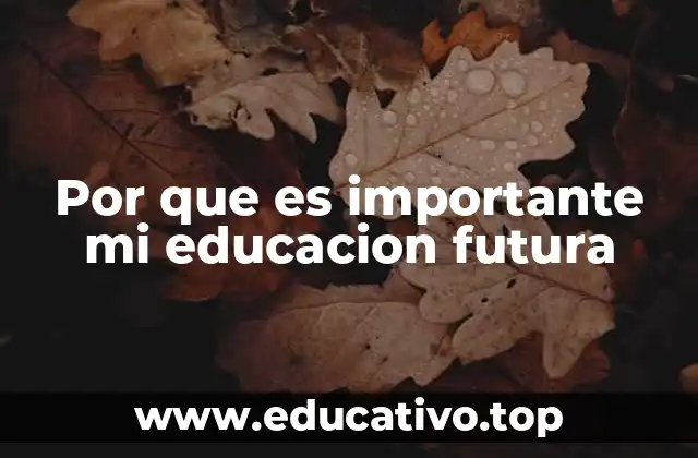 Por que es importante mi educacion futura