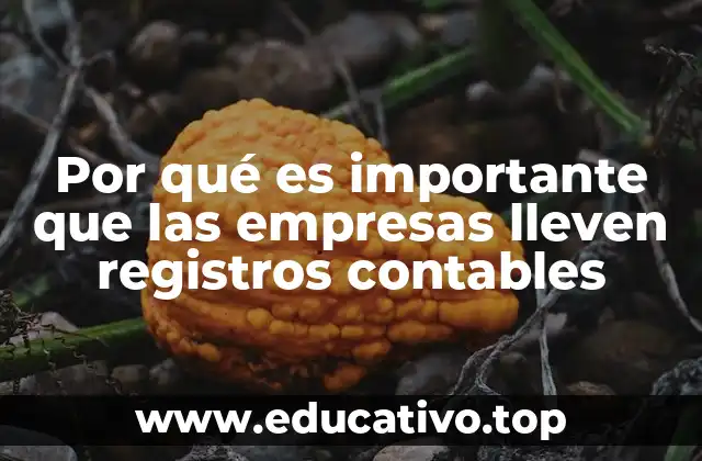 Por qué es importante que las empresas lleven registros contables