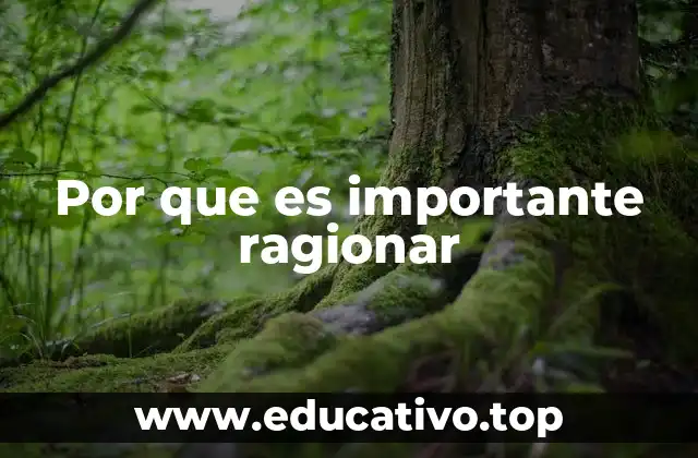 El impacto del razonamiento en la toma de decisiones