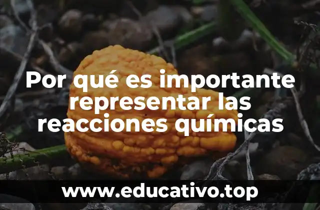 Por qué es importante representar las reacciones químicas